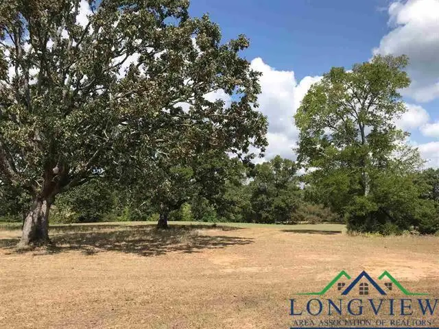 TRACT 11 FM 3358, Gilmer, TX 75645 - Image #2