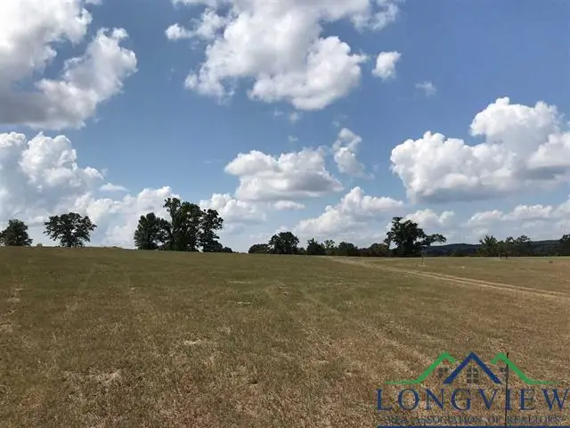 TRACT 11 FM 3358, Gilmer, TX 75645 - Image #3