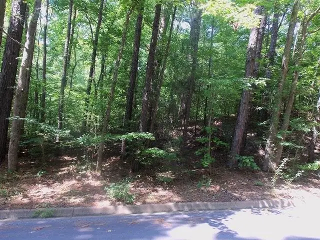 TBD--Lot 8 Willow Springs Road, Kilgore, TX 75662 - Image #2