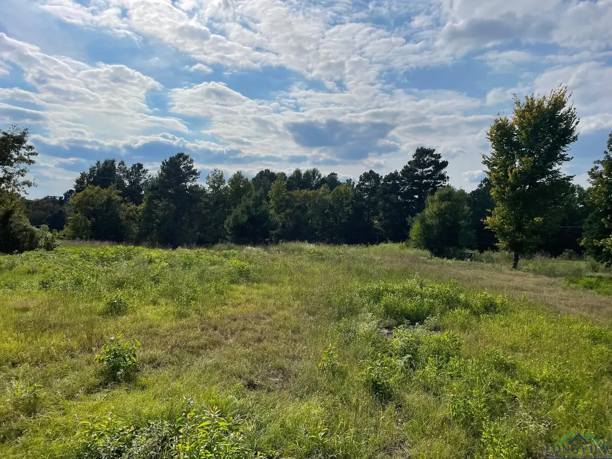 TBD 2.8 Ac North Point Pleasant Rd, Gladewater, TX 75647 - Image #1