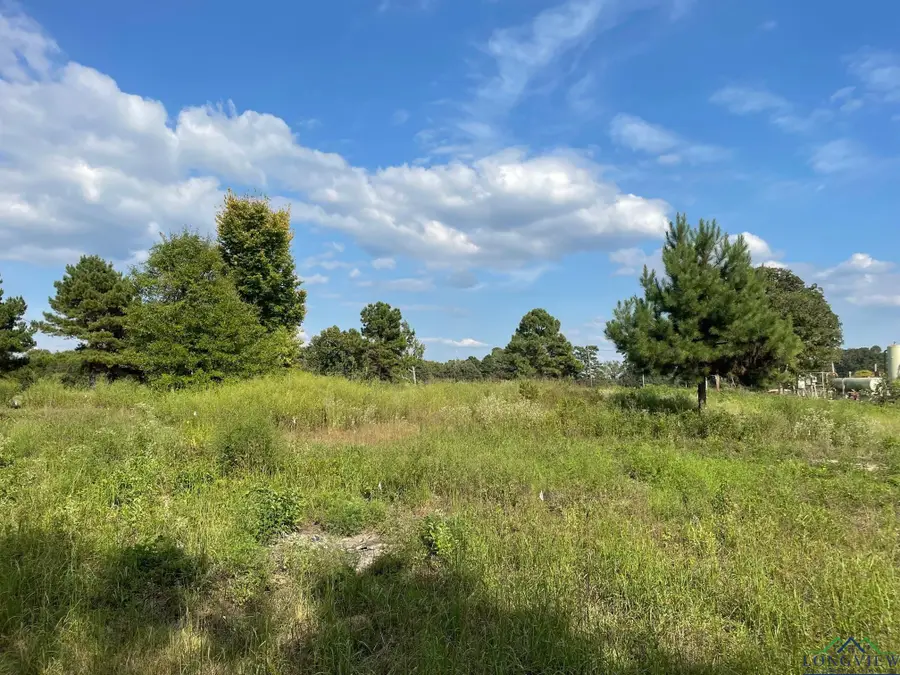 TBD 2.8 Ac North Point Pleasant Rd, Gladewater, TX 75647 - Image #2
