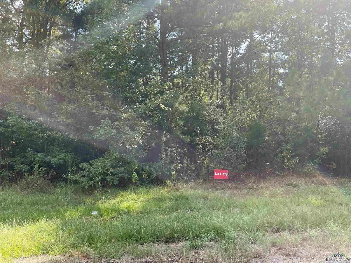 TBD Lot 17 CR 2204 D & FM 1797, Tatum, TX 75691 - Image #1