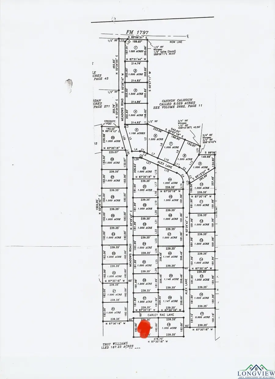 TBD Lot 17 CR 2204 D & FM 1797, Tatum, TX 75691 - Image #2