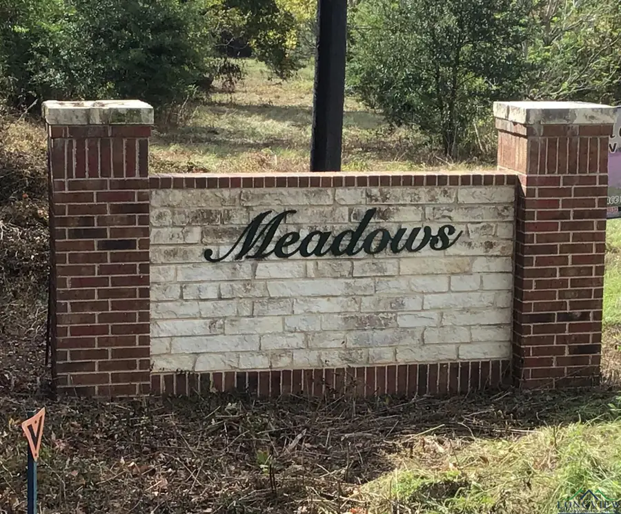 TBD Lot 17 CR 2204 D & FM 1797, Tatum, TX 75691 - Image #3