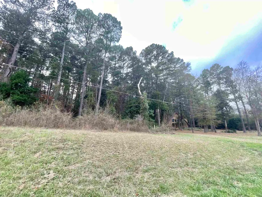 TBD BROADNAX STREET, Daingerfield, TX 75638 - Image #3