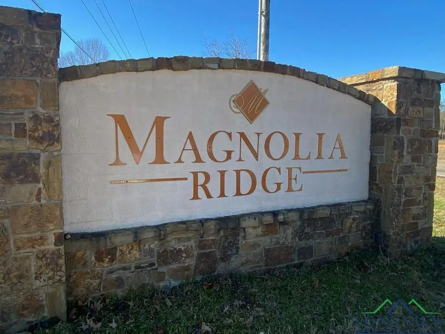 Lot #18 TDB Bralan, Diana, TX 75640 - Image #2