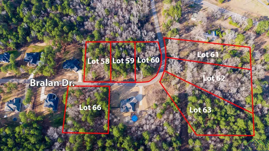 Lot #18 TDB Bralan, Diana, TX 75640 - Image #3