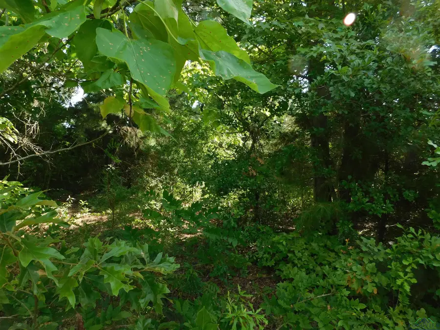 TBD DOLLAHITE, Longview Northwest, TX 75604 - Image #2