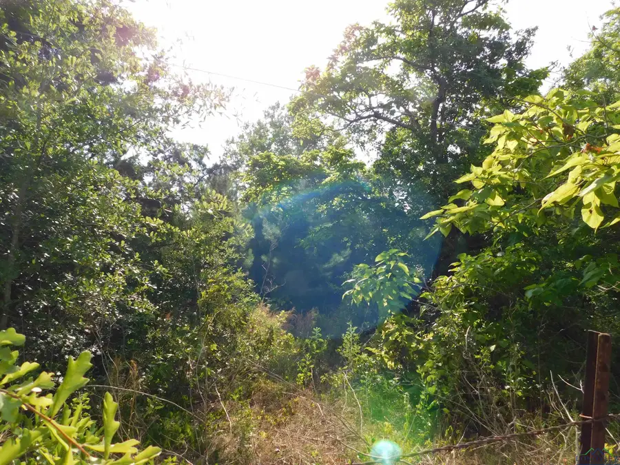 TBD DOLLAHITE, Longview Northwest, TX 75604 - Image #3