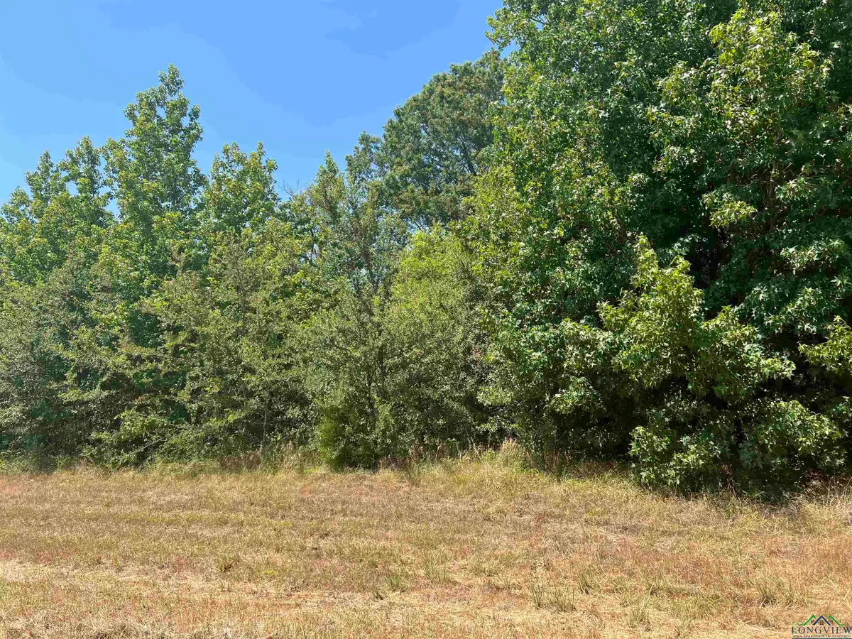 TBD FM 3042, Pittsburg, TX 75686 - #1