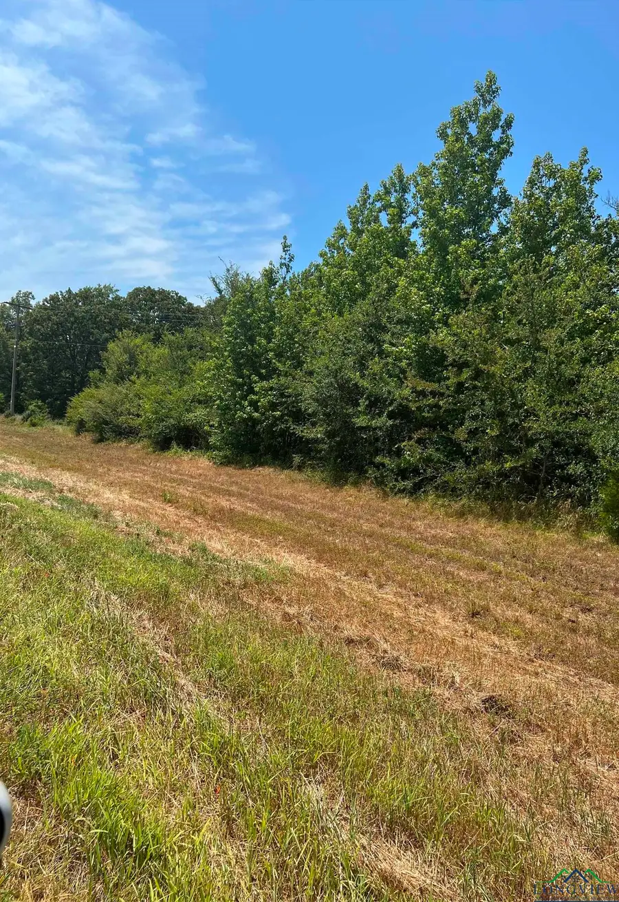 TBD FM 3042, Pittsburg, TX 75686 - #2