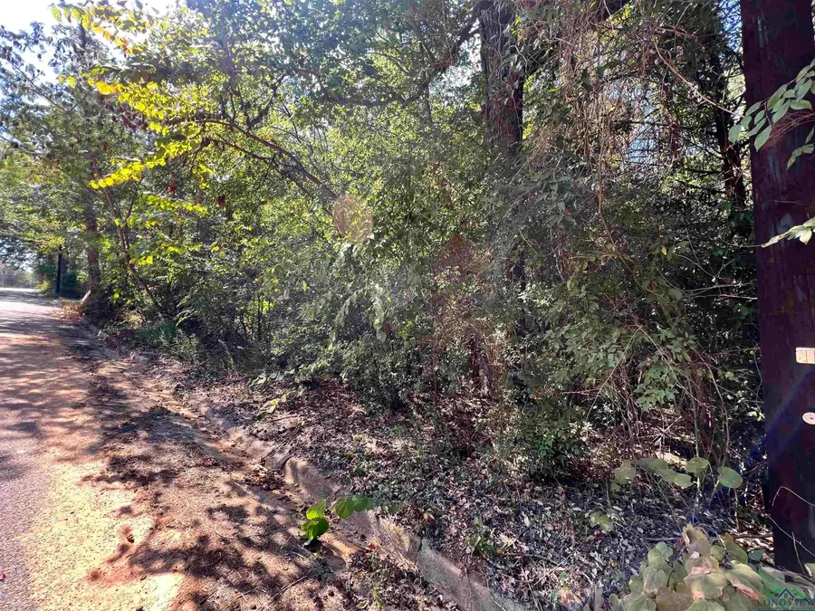 521 Wood St, Gladewater, TX 75647 - Image #2