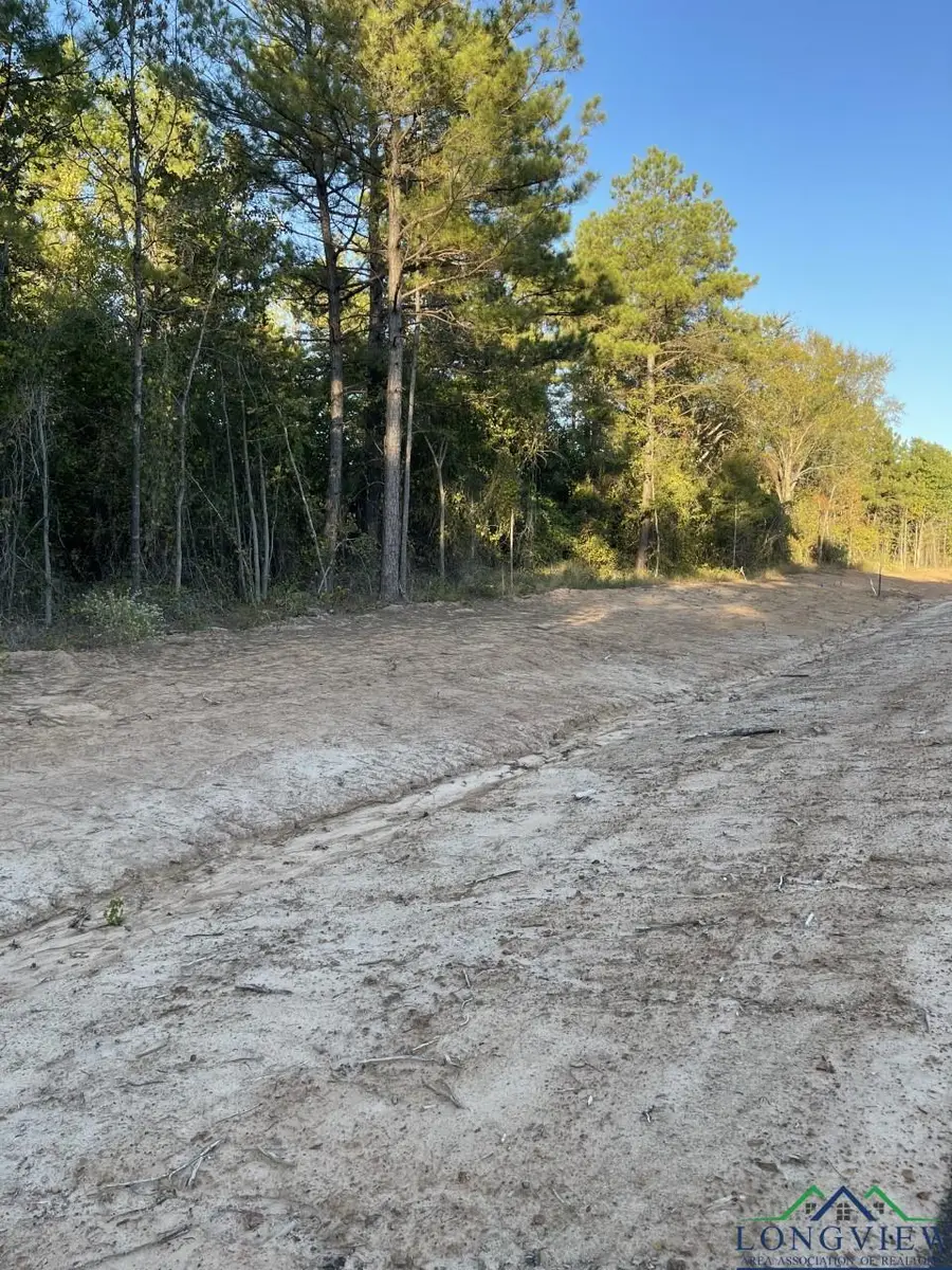 TBD LOT 6 STONEBROOK CT, Diana, TX 75640 - Image #2