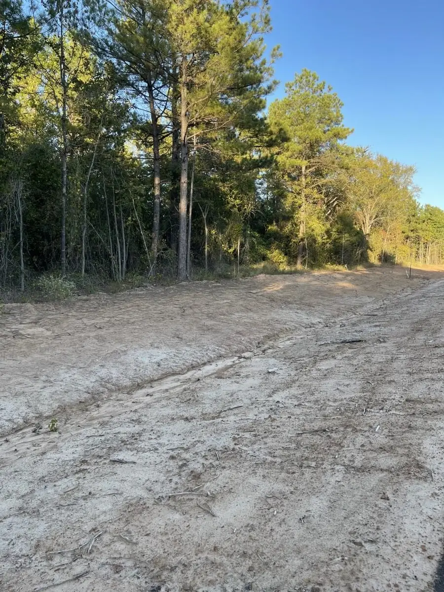 TBD LOT 11 STONEBROOK CT, Diana, TX 75640 - Image #2