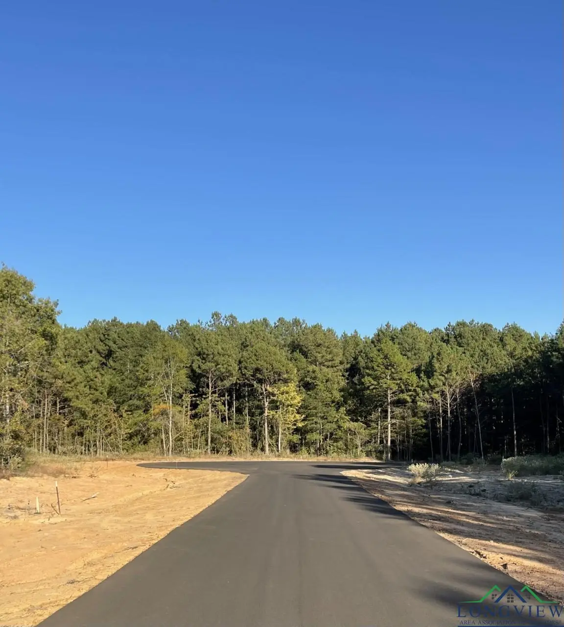 TBD LOT 18 STONEBROOK CT, Diana, TX 75640 - Image #1