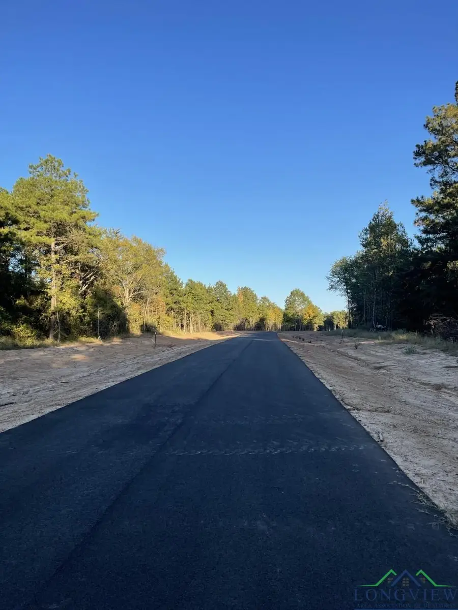 TBD LOT 18 STONEBROOK CT, Diana, TX 75640 - Image #3