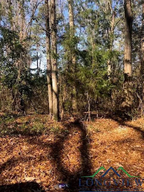 LT 2 TBD Lewis St, Henderson, TX 75652