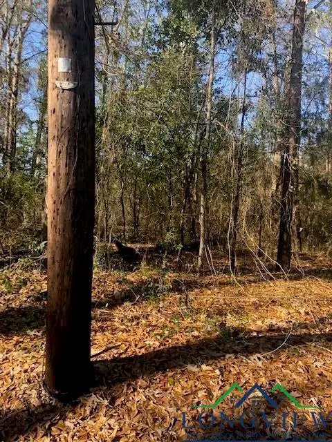 LT 2 TBD Lewis St, Henderson, TX 75652 - Image #2