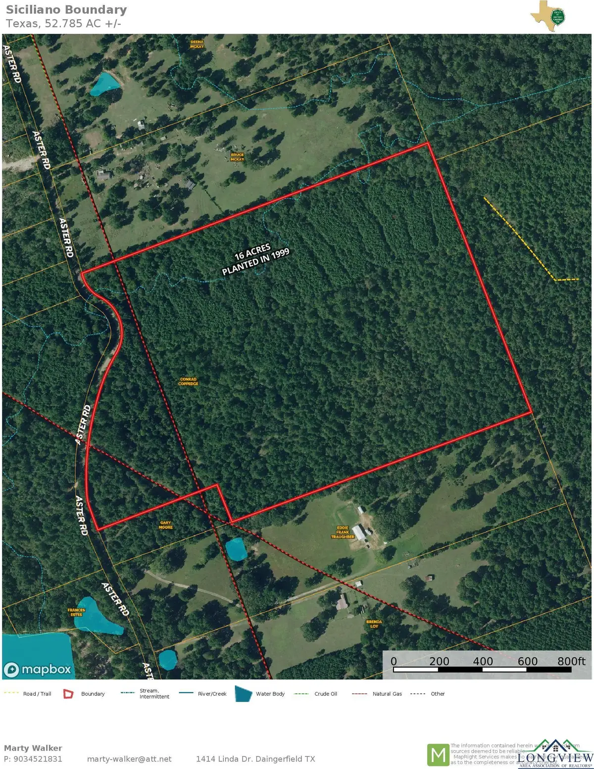 TBD Aster Rd, Gilmer, TX 75644-0000 - Image #1