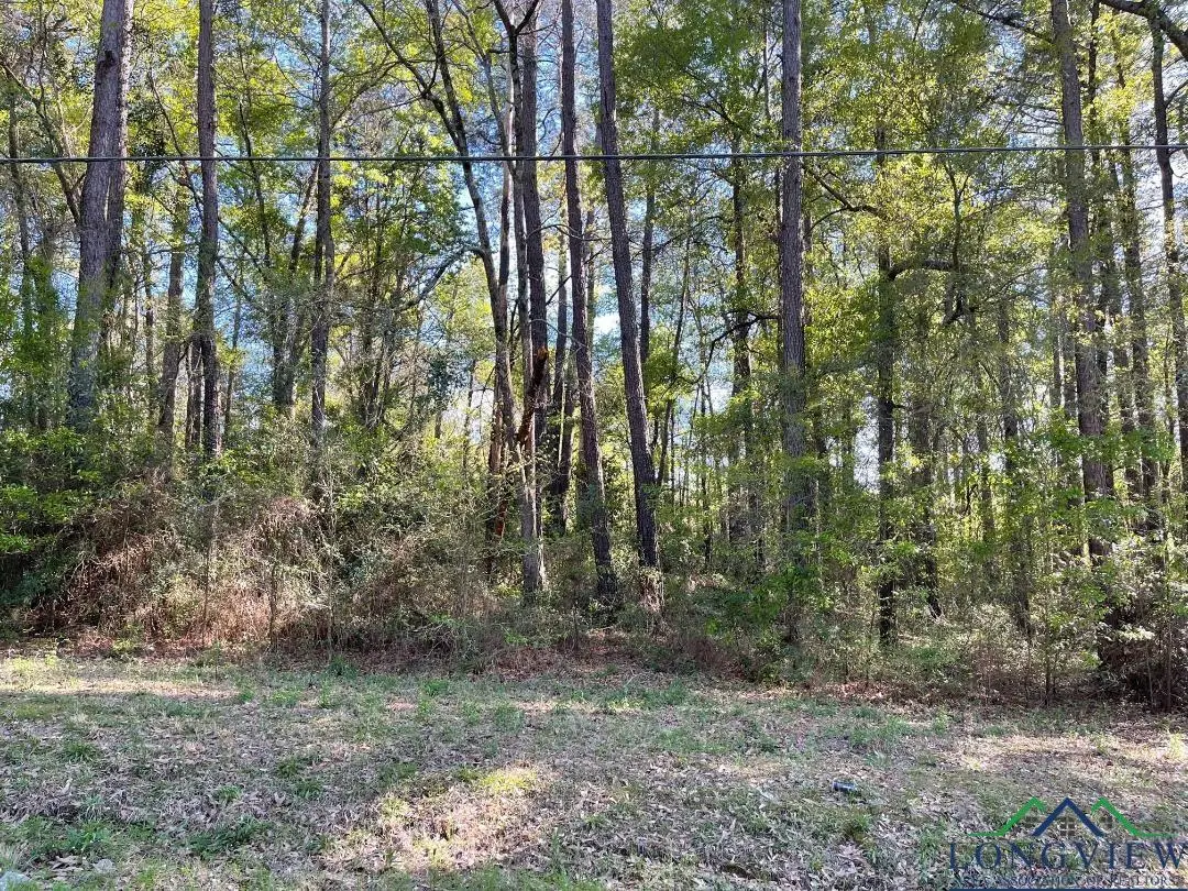 1006 Millie St, Longview, TX 75602 - Image #1