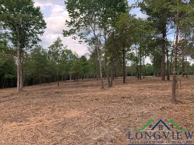 15658 E Hwy 49, Jefferson, TX 75657 - Image #2