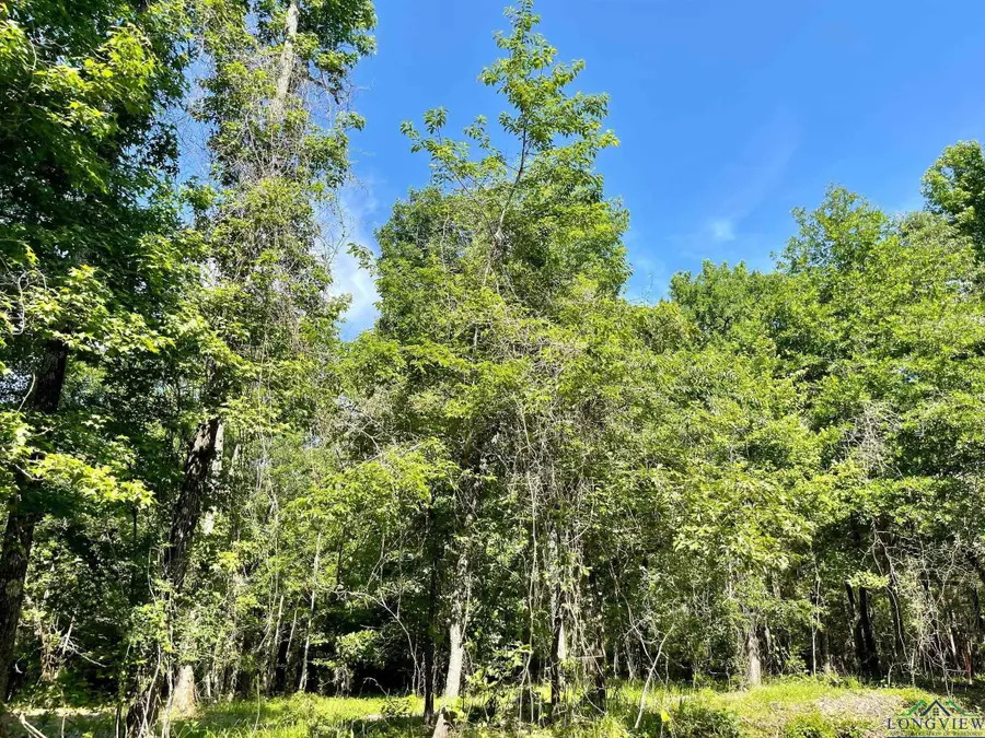 0003 MCR 3241, Jefferson, TX 75657 - Image #3