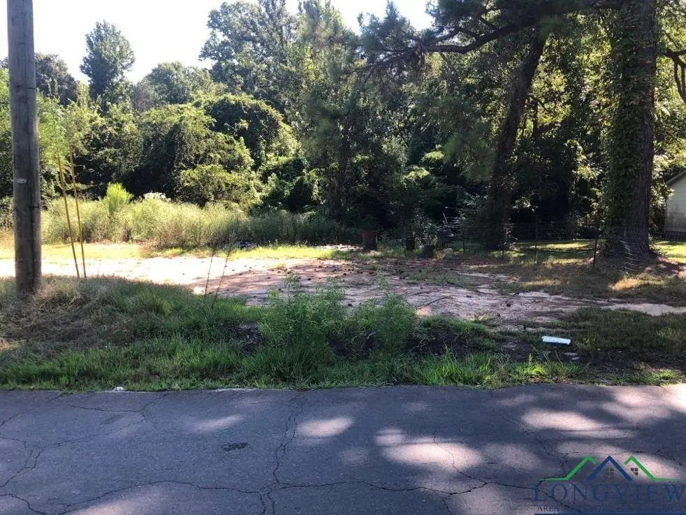 1504 S 12th Street, Longview, TX 75602 - Image #1