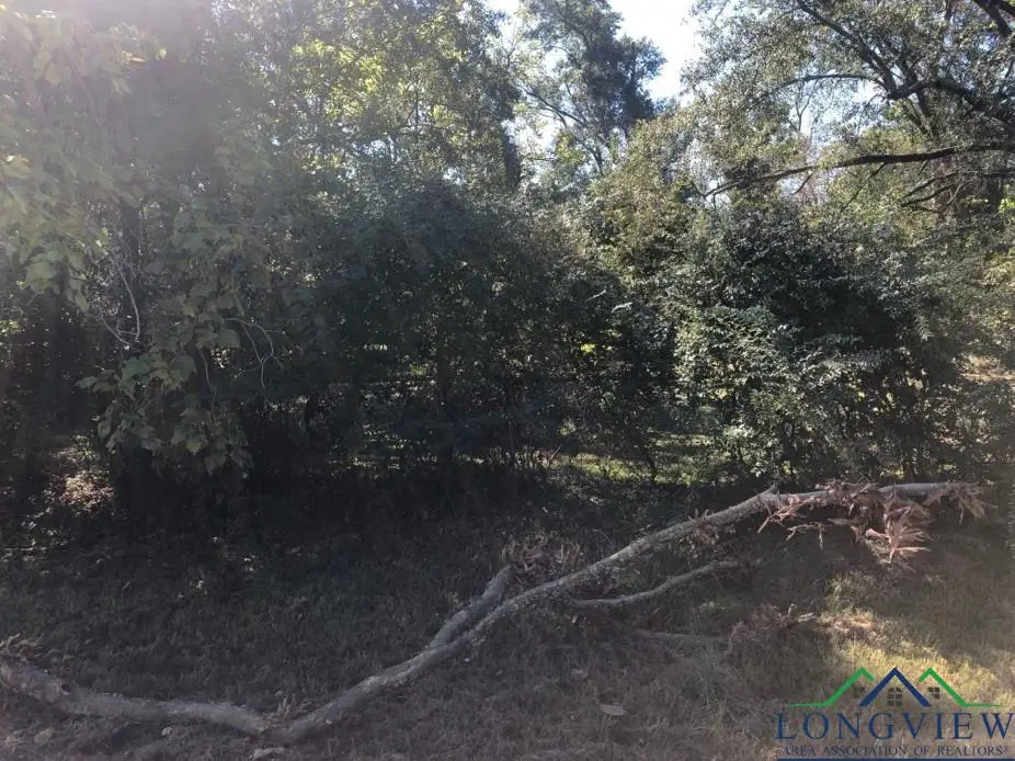 1208 Raney Street, Longview, TX 75602 - Image #1