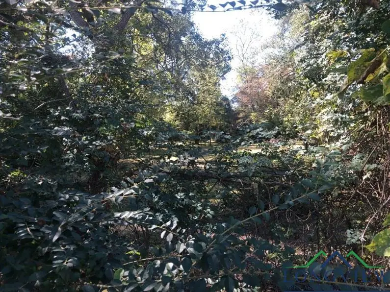 1208 Raney Street, Longview, TX 75602 - Image #2