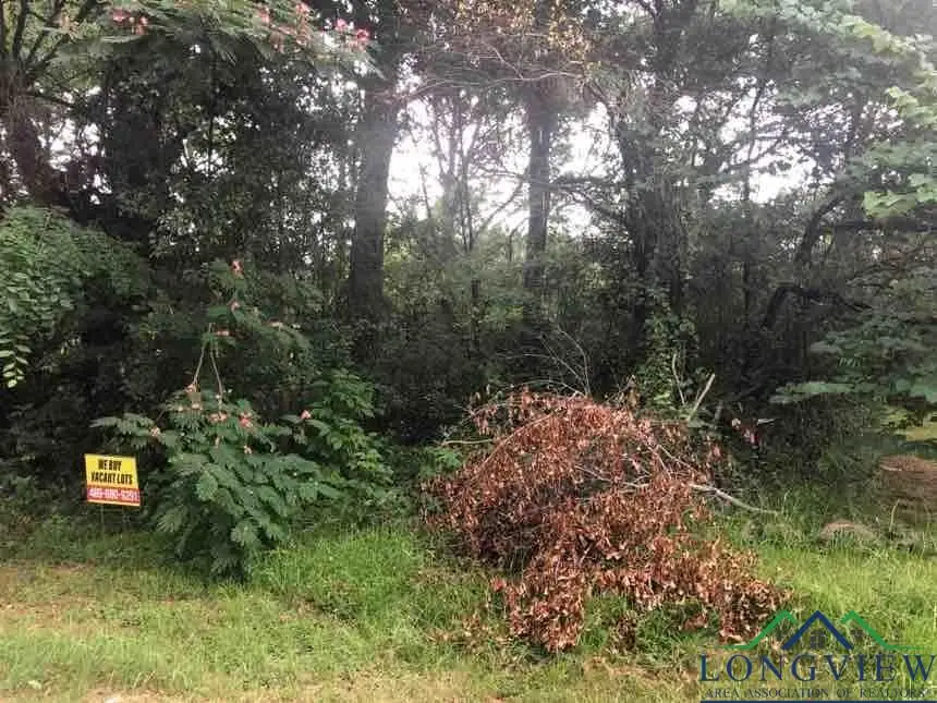 805 Roosevelt Street, Longview, TX 75601 - Image #1