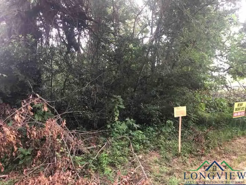 805 Roosevelt Street, Longview, TX 75601 - Image #2