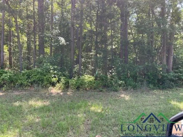 250 CR 2215, Daingerfield, TX 75638-0000 - Image #2