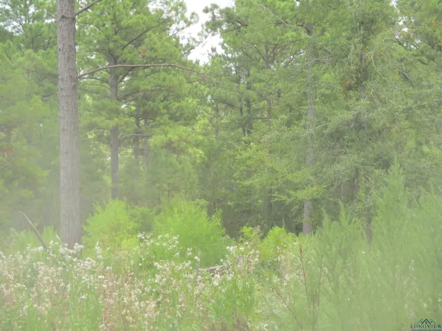 0000 FM 782, Henderson, TX 75654 - Image #3