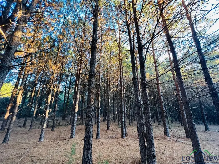 0 CR 3659, Queen City, TX 75572 - Image #2