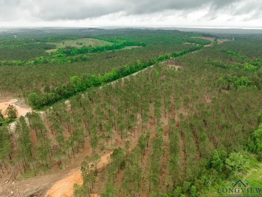 0 CR 3659, Queen City, TX 75572 - Image #3