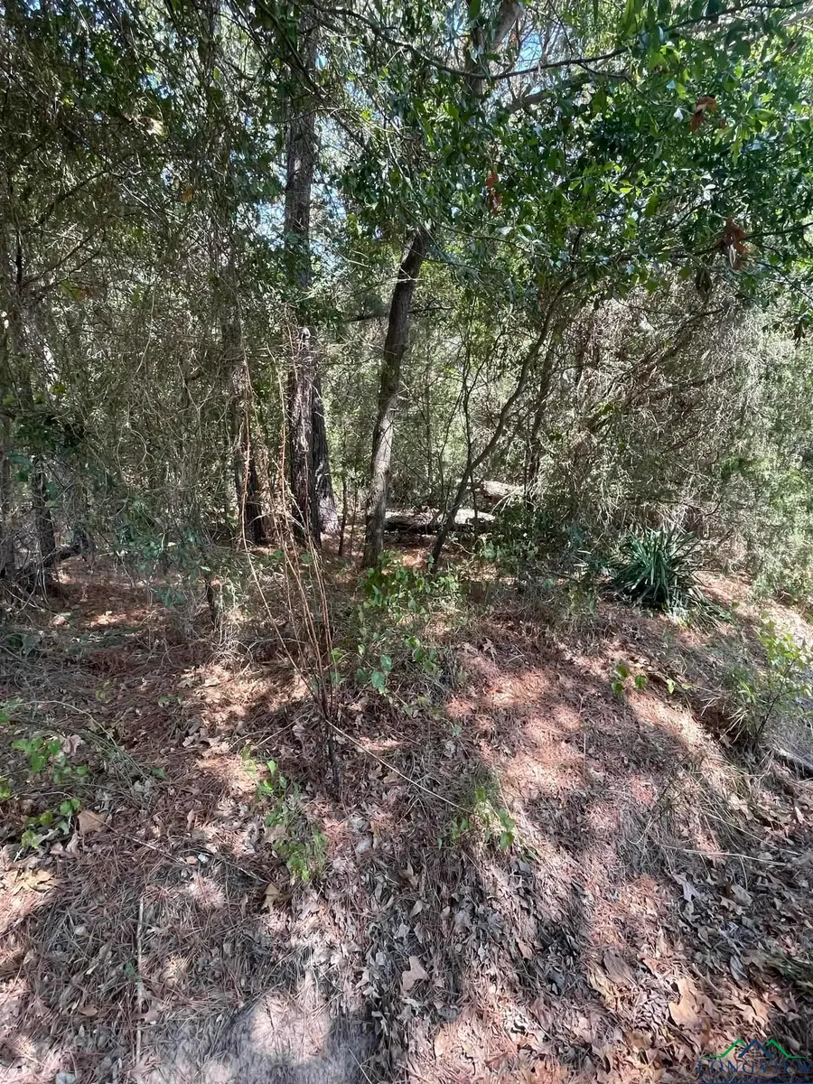 TBD LOCUST ROAD, Gilmer, TX 75645 - Image #3