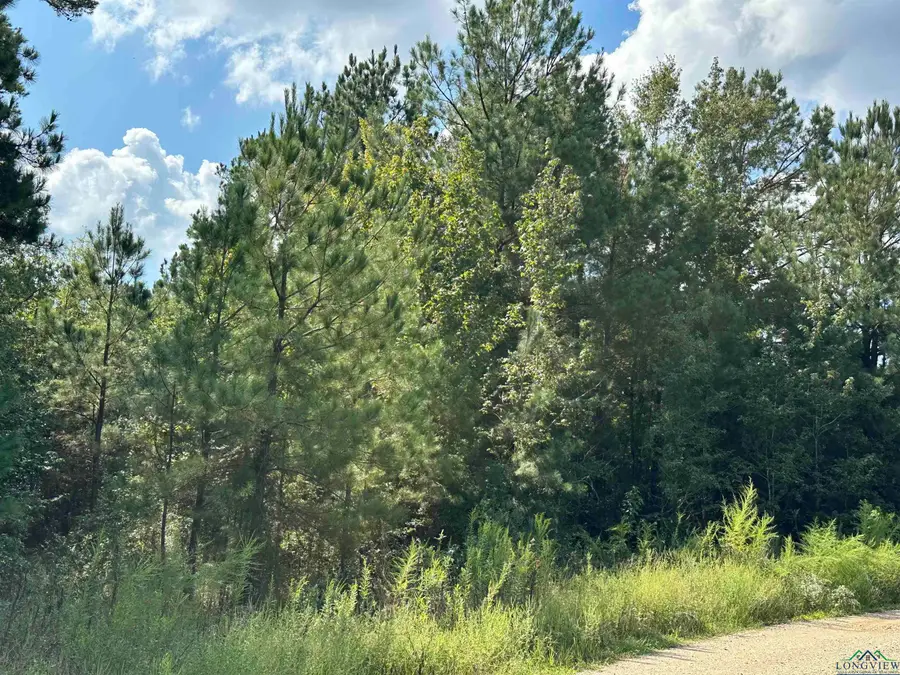 Tbd Pvt Rd 7231, De Berry, TX 75639 - Image #2