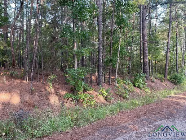 TBD Pop's Landing Road CR 2610, Ore City, TX 75683