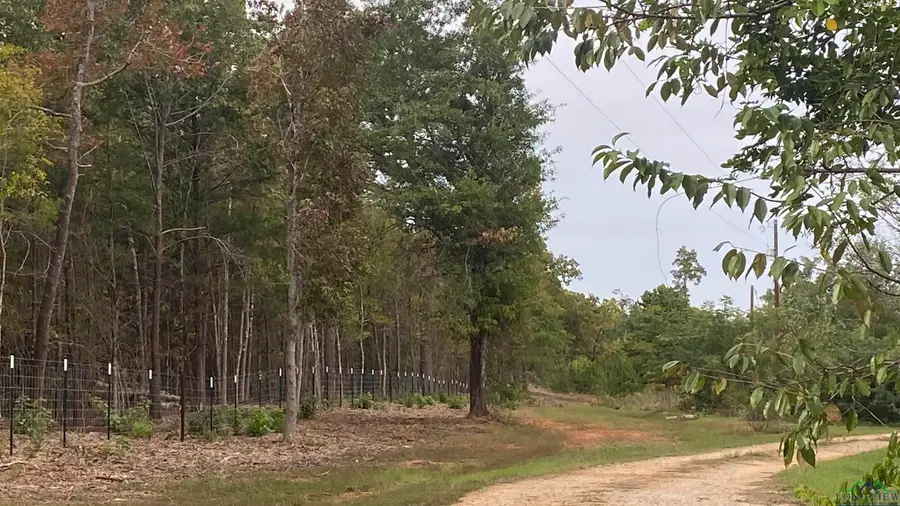 TBD CR 3860, Hawkins, TX 75765 - Image #3