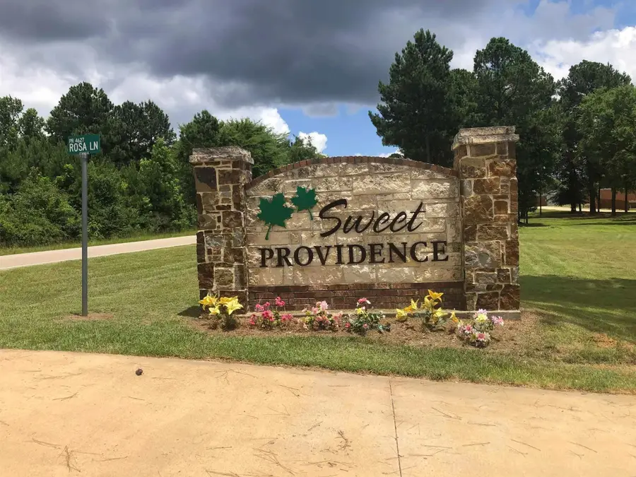 TBD Joe Lee Ct., White Oak, TX 76693 - Image #2