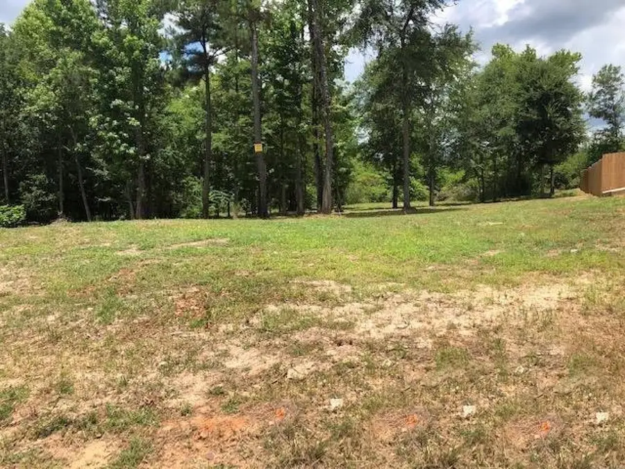 TBD Joe Lee Ct., White Oak, TX 76693 - Image #3