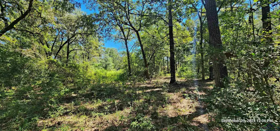 260 Zed Creek Rd, Lufkin, TX 75904 - Image #2