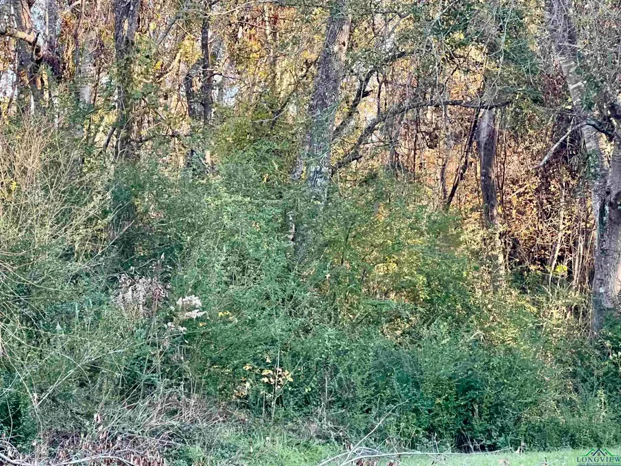 TBD Yvonne, Marshall, TX 75672 - Image #3