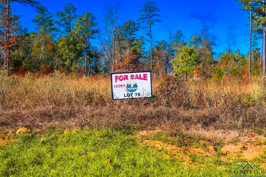 Lot 76 Granite Lane, Hallsville, TX 75650 - Image #2