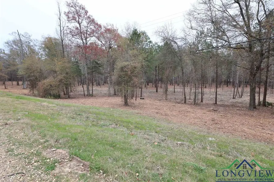 10 ACRES HWY 43, Henderson, TX 75654 - #2