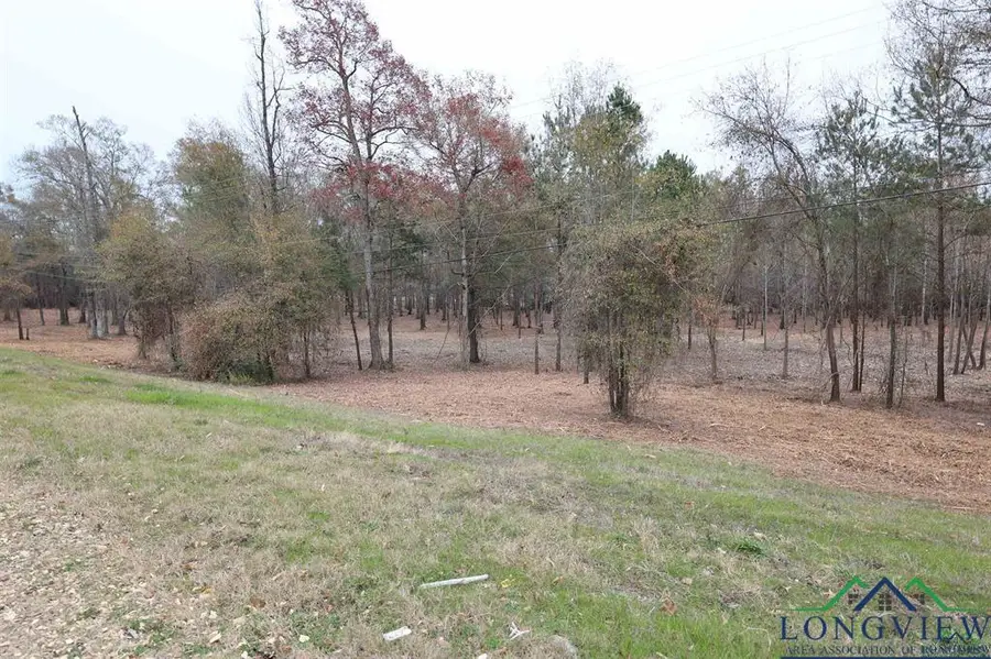 10 ACRES HWY 43, Henderson, TX 75654 - #3
