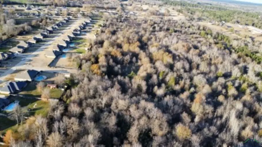 TBD (16.740 Ac) C R 152 W, Bullard, TX 75757 - Image #2