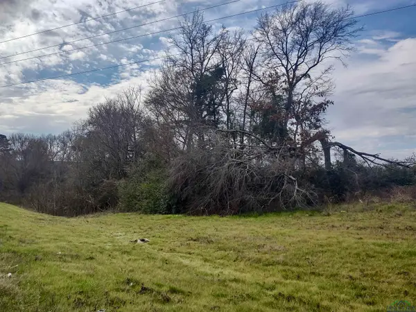 TBD N US HWY 259, Daingerfield, TX 75638