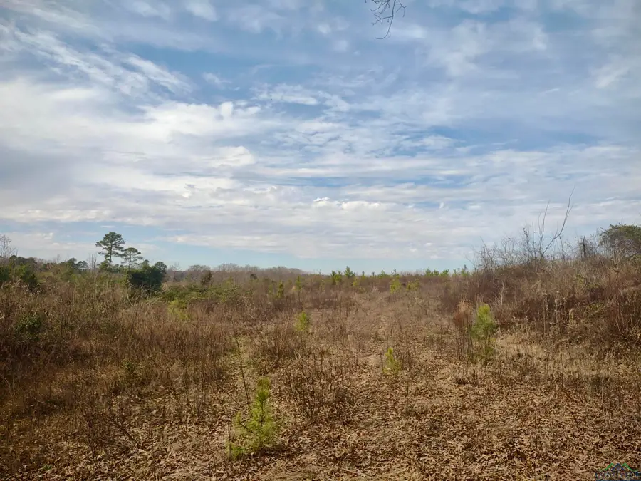 TBD N US HWY 259, Daingerfield, TX 75638 - Image #2