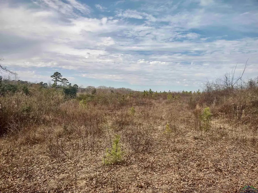 TBD N US HWY 259, Daingerfield, TX 75638 - Image #3